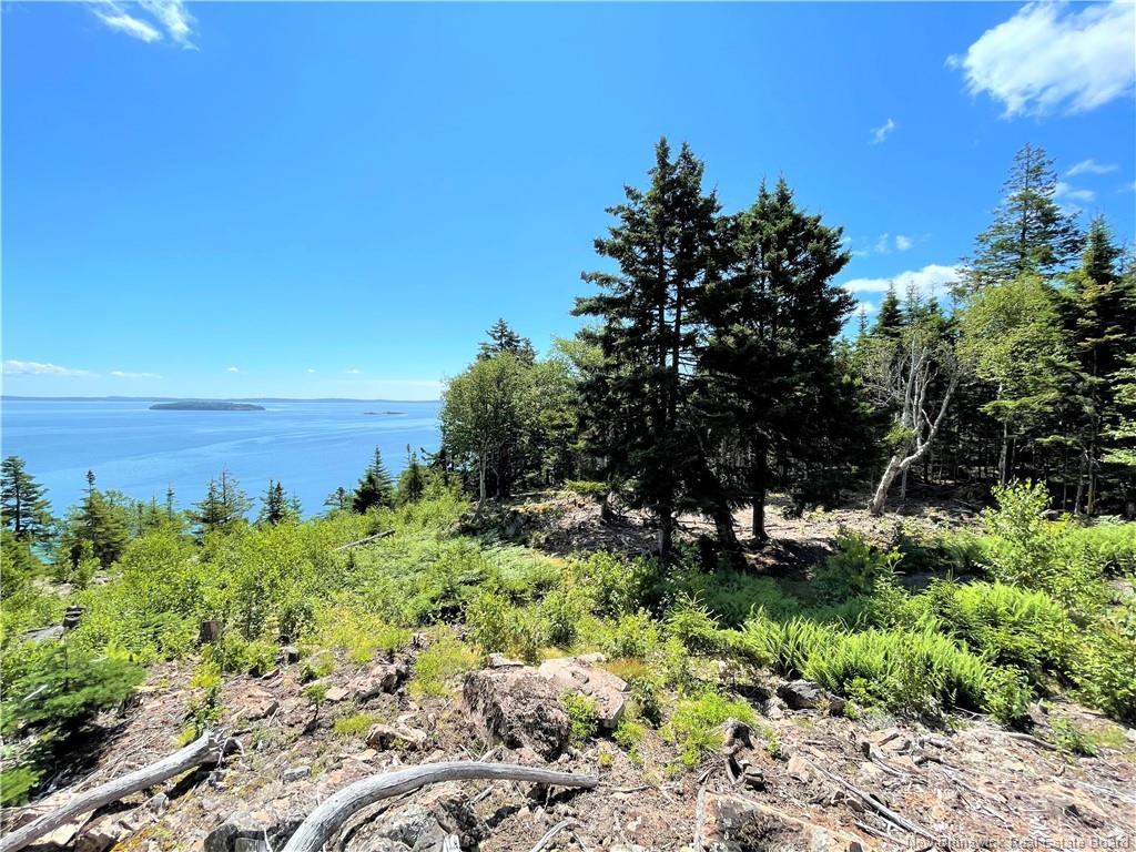 Lot 7 Kilmarnock Head, Chamcook, NB