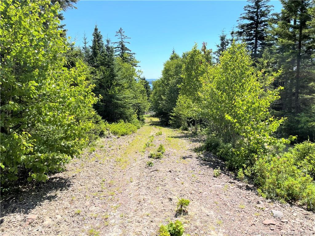 Lot 7 Kilmarnock Head, Chamcook, NB