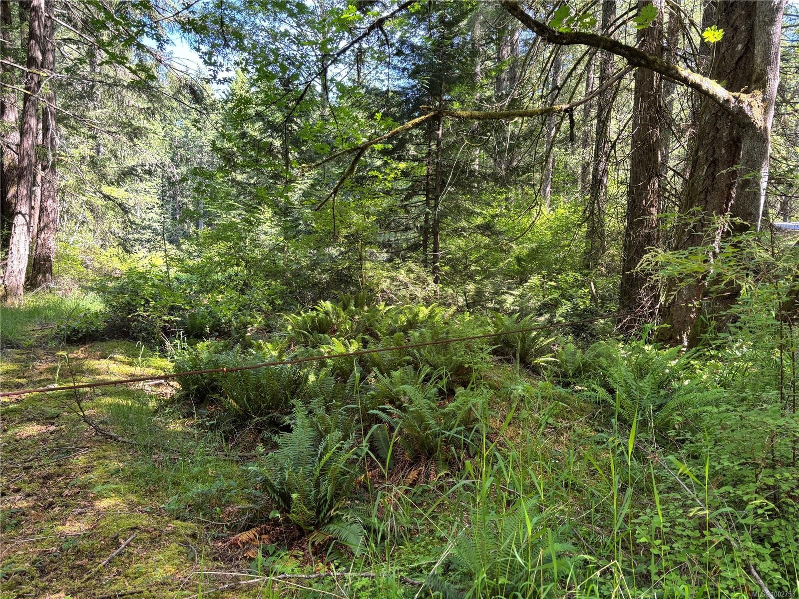 5596 Munn Rd, Highlands, BC