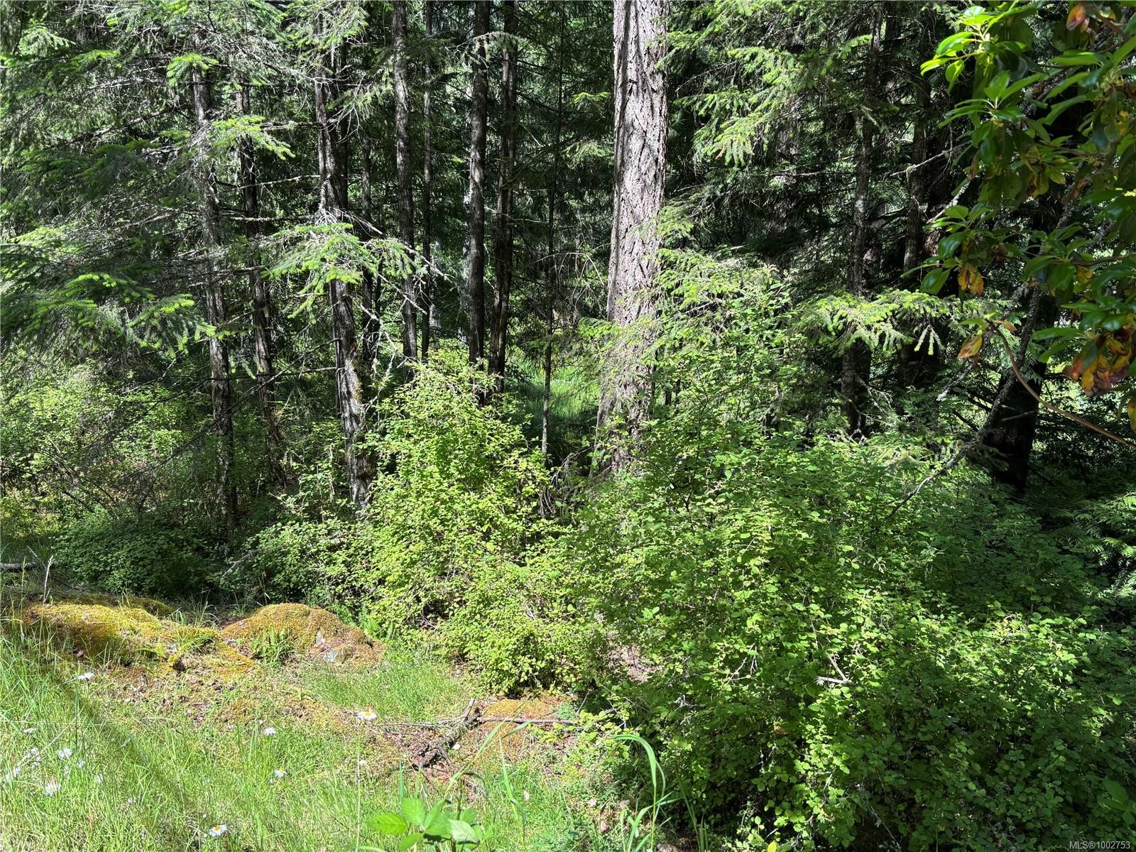 5596 Munn Rd, Highlands, BC