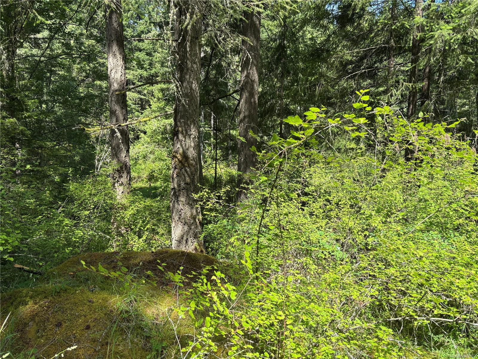 5596 Munn Rd, Highlands, BC