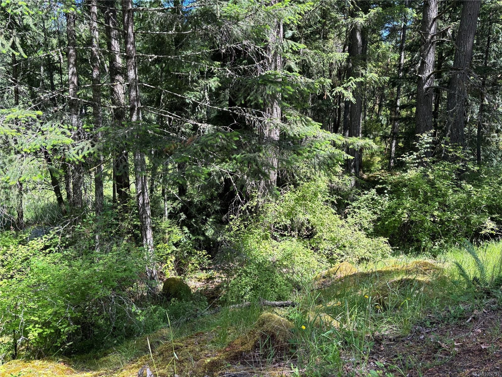 5596 Munn Rd, Highlands, BC