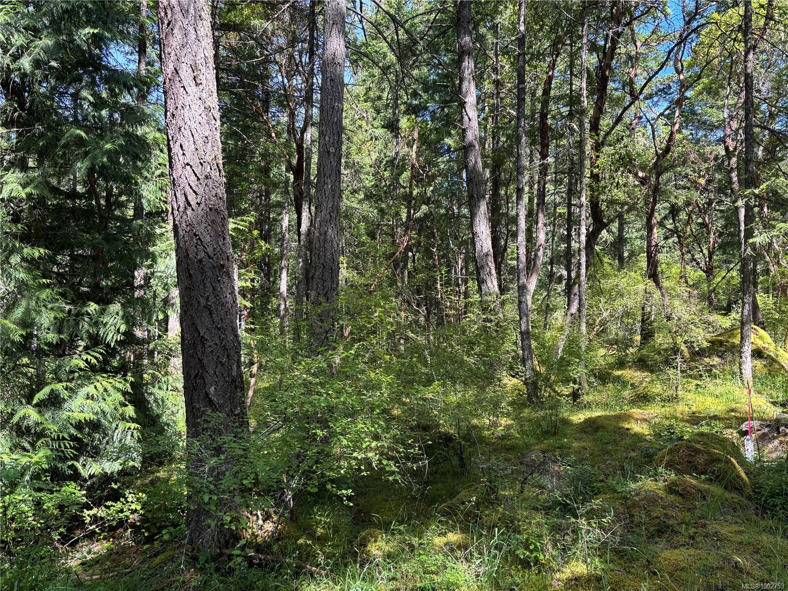 5596 Munn Rd, Highlands, BC