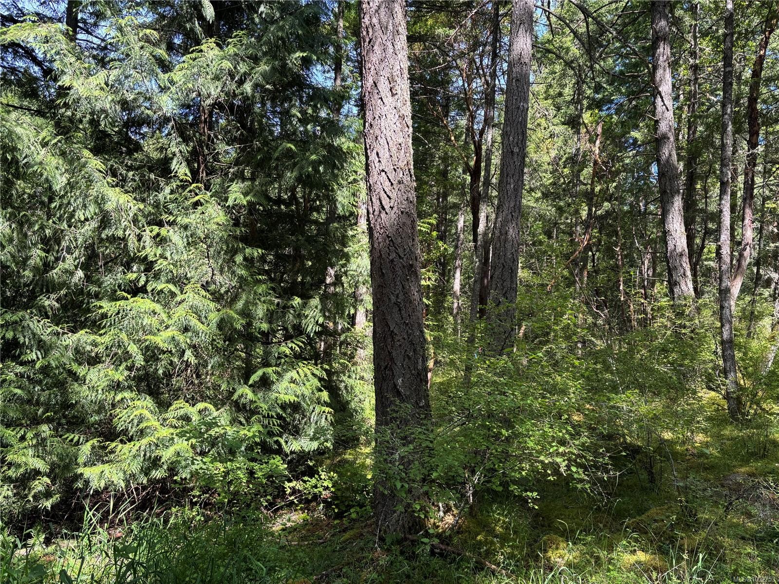 5596 Munn Rd, Highlands, BC