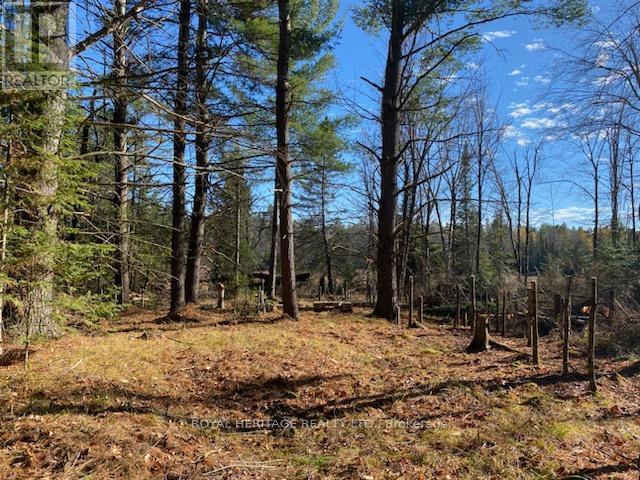 17556 Highway 62, Madoc, ON