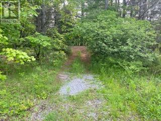 17556 Highway 62, Madoc, ON