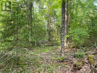 17556 Highway 62, Madoc, ON