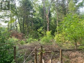 17556 Highway 62, Madoc, ON