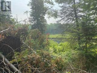 17556 Highway 62, Madoc, ON