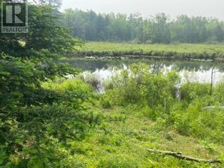 17556 Highway 62, Madoc, ON