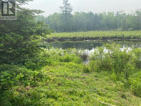 17556 Highway 62, Madoc, ON