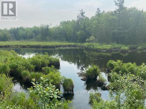 17556 Highway 62, Madoc, ON