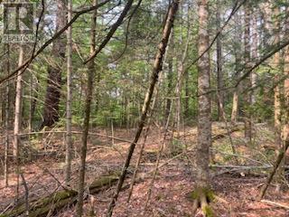 17556 Highway 62, Madoc, ON