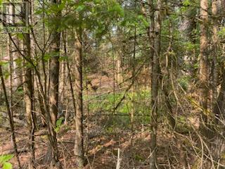 17556 Highway 62, Madoc, ON