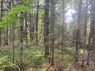 17556 Highway 62, Madoc, ON