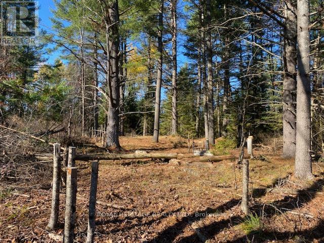 17556 Highway 62, Madoc, ON