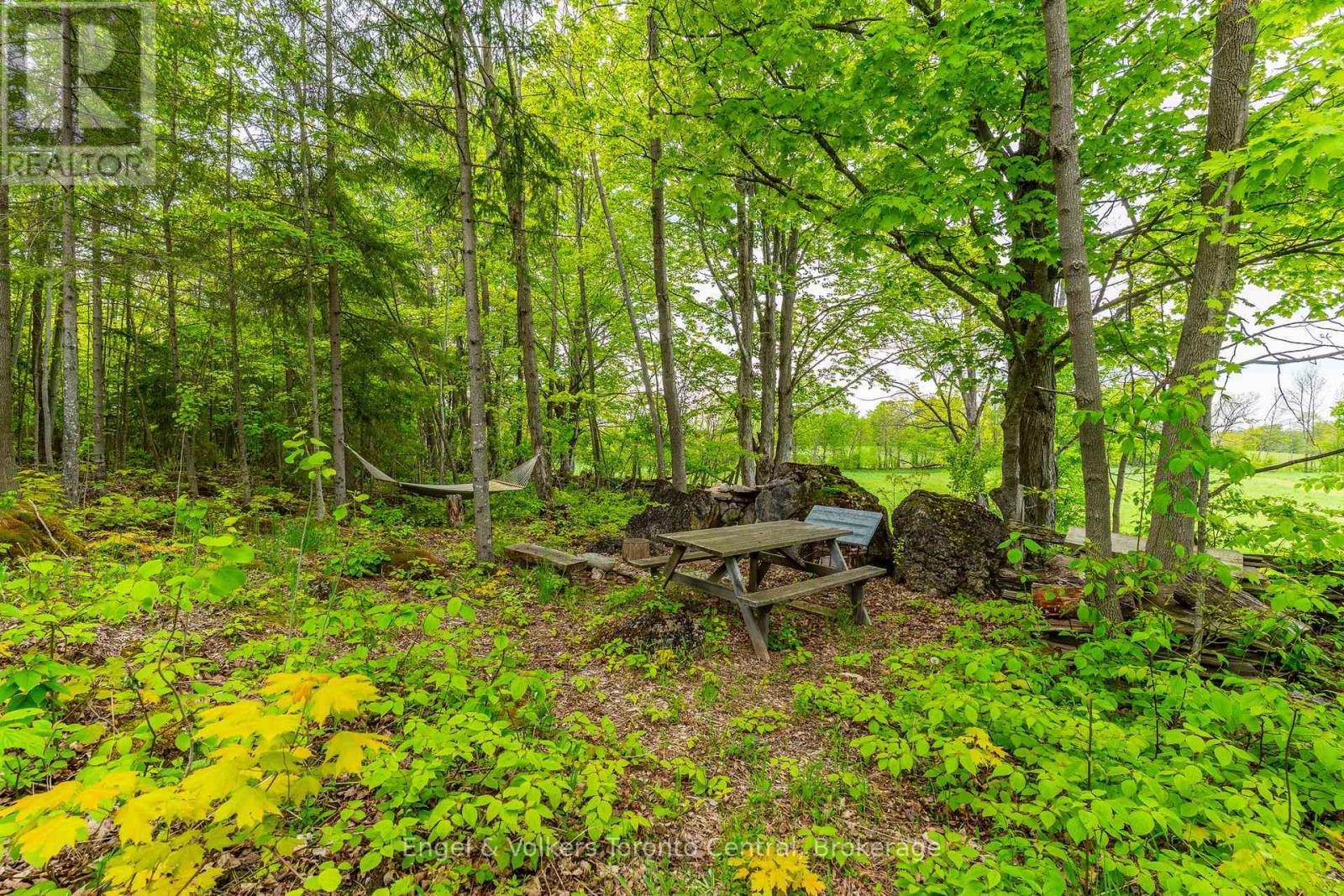 215588 Concession 4, Chatsworth, ON - Outdoor