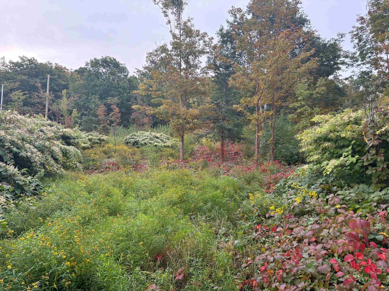 Lot Sunset Drive, Smiths Cove, NS