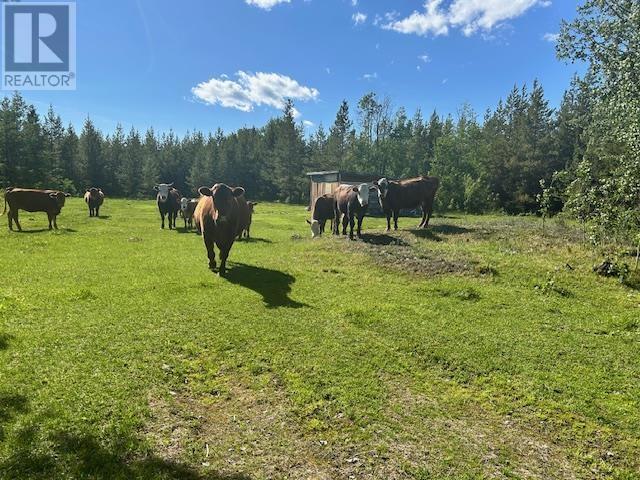 25680 Sturgeon Point Road, Vanderhoof, BC