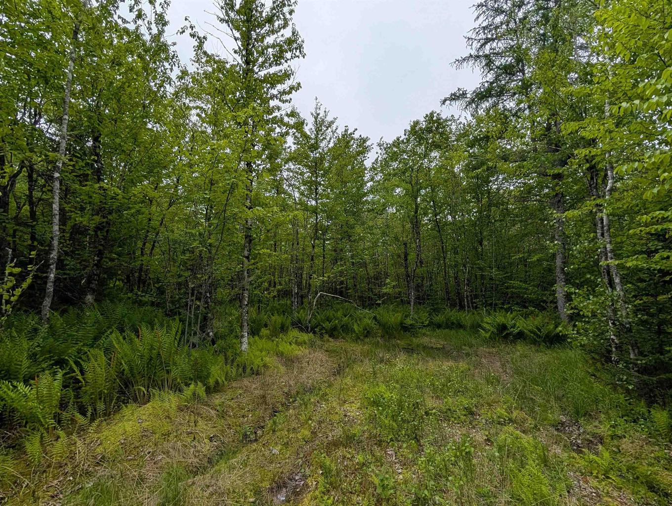 Cm2J Lot Cm2J Mckenzie Lane, Mount Uniacke, NS