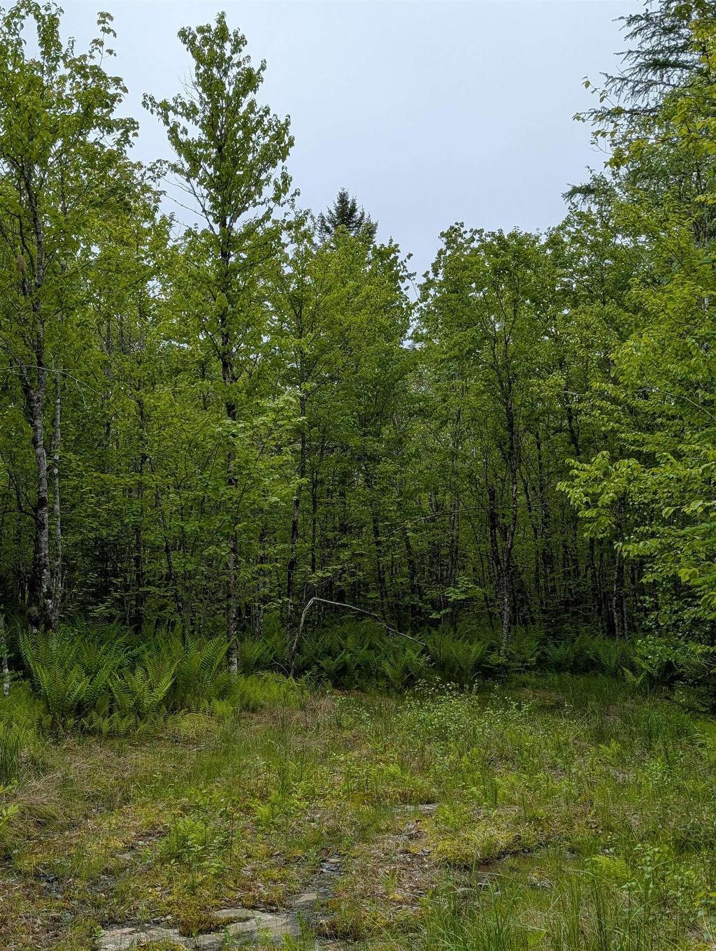 Cm2J Lot Cm2J Mckenzie Lane, Mount Uniacke, NS