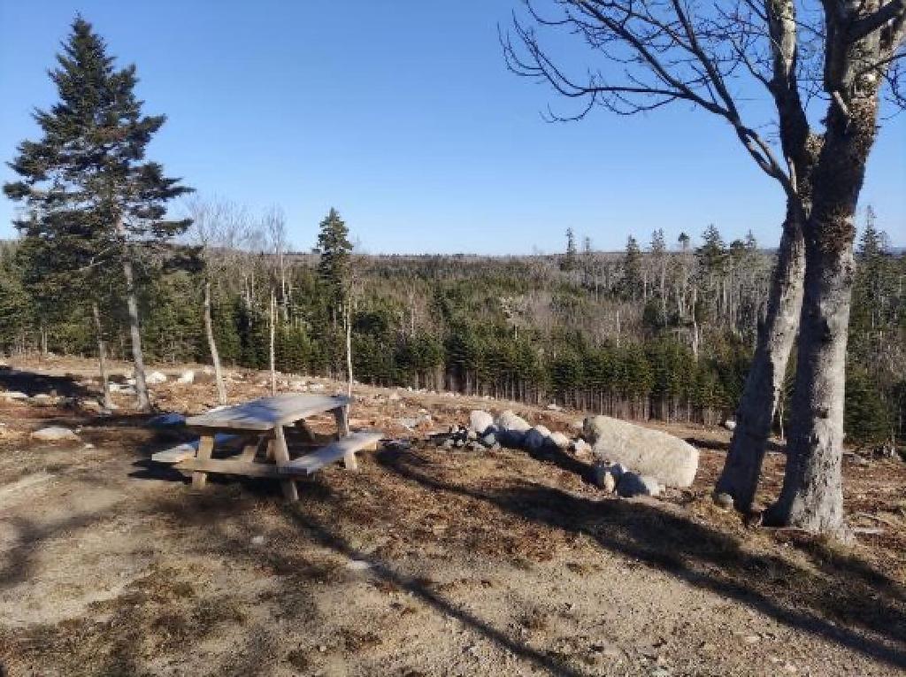 Lot No 3 Highway, Queensland, NS