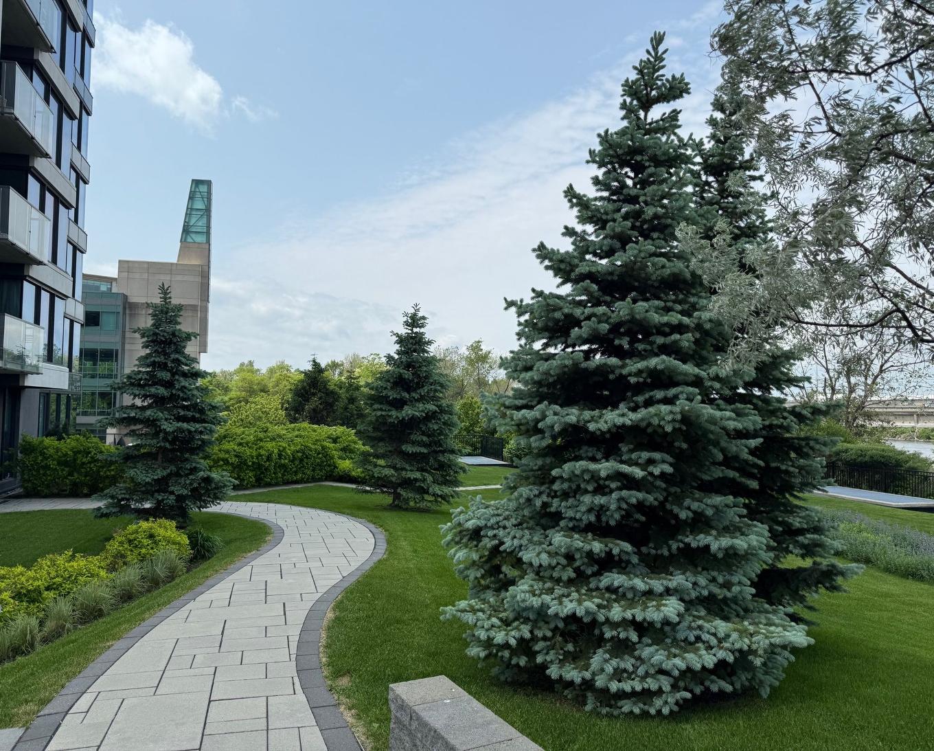 Entrée extérieure - 2106-101 Rue De La Rotonde, Montréal (Verdun/Île-Des-Soeurs), QC - Outdoor