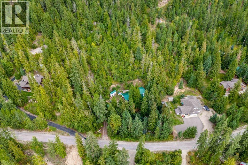 9048 Hummingbird Drive, Swansea Point, BC - Outdoor With View