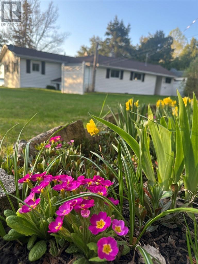 1393 A & B Highway 551, Mindemoya, Manitoulin Island, ON - Outdoor