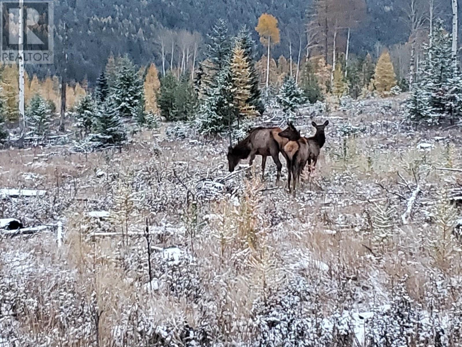 442 Lumberton Road, Cranbrook, BC