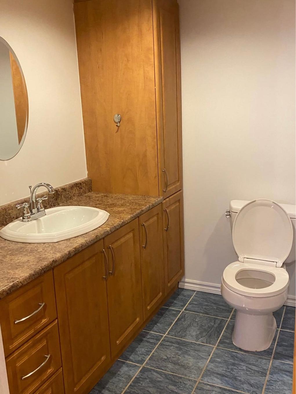 Bathroom - 2184 Rue Addington, Montréal (Côte-Des-Neiges/Notre-Dame-De-Grâce), QC - Indoor Photo Showing Bathroom