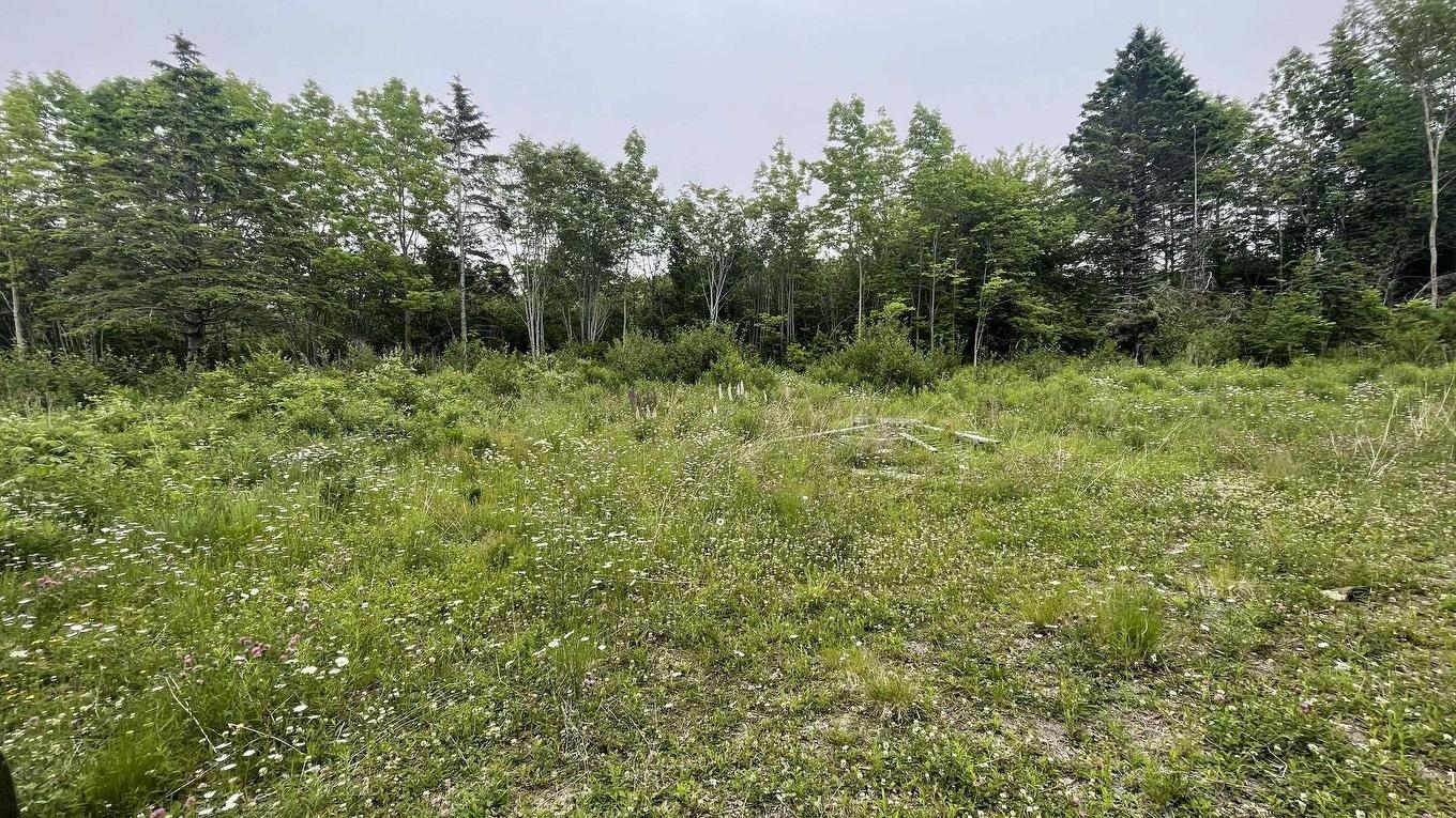 4398 Highway 1, Weymouth, NS