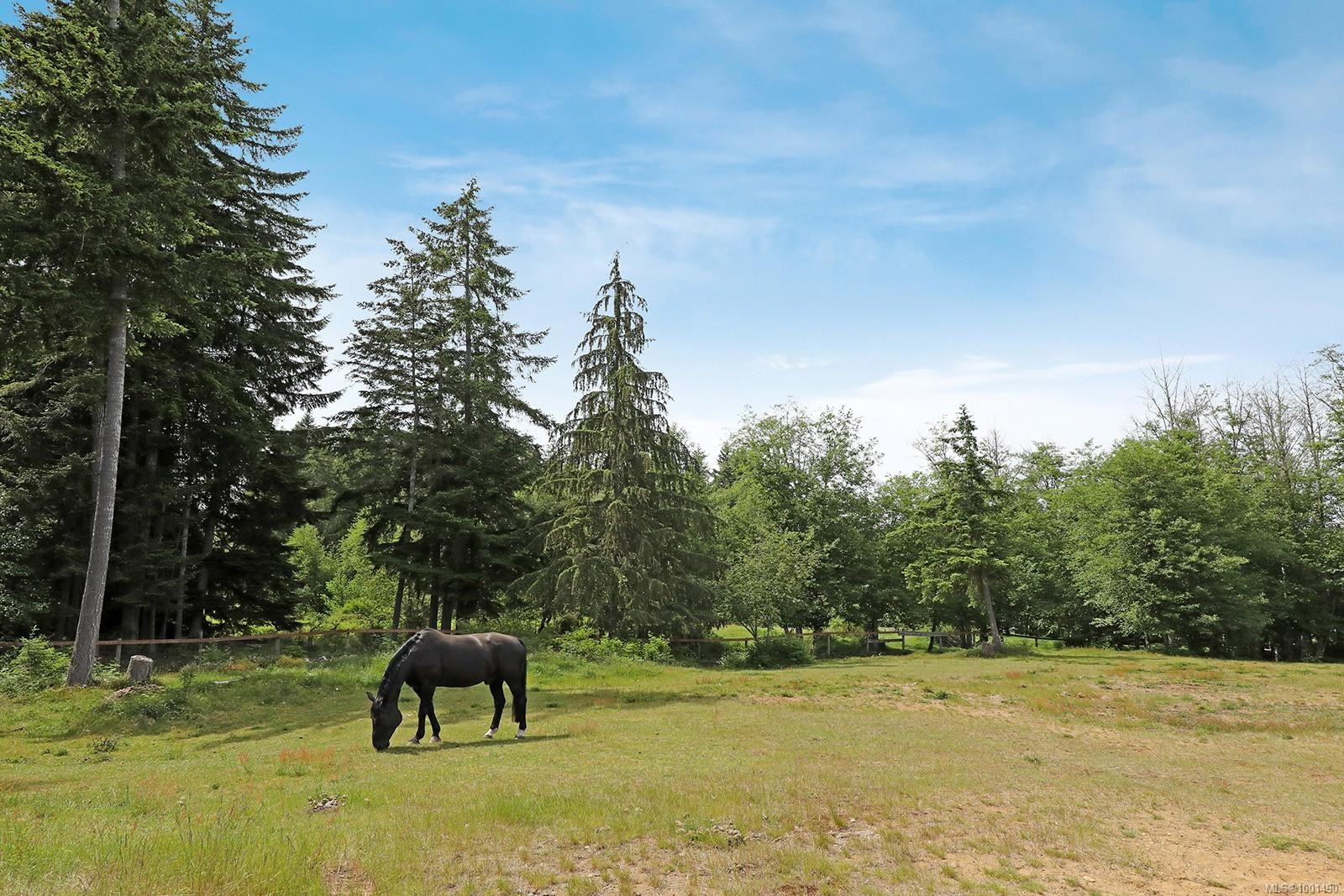 1195 Burbank Rd, Qualicum Beach, BC