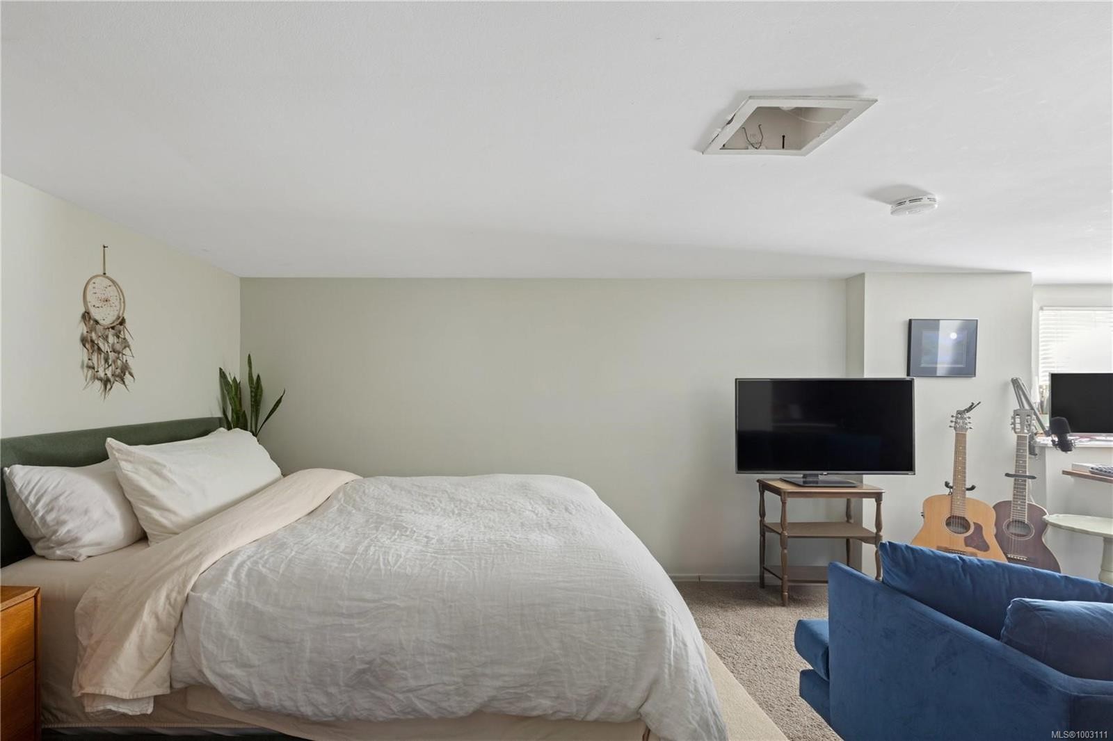 16 Howe St, Victoria, BC - Indoor Photo Showing Bedroom