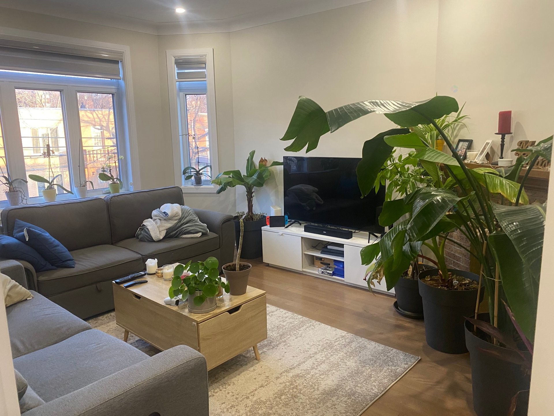 Salon - 5209 Av. Ponsard, Montréal (Côte-Des-Neiges/Notre-Dame-De-Grâce), QC - Indoor Photo Showing Living Room