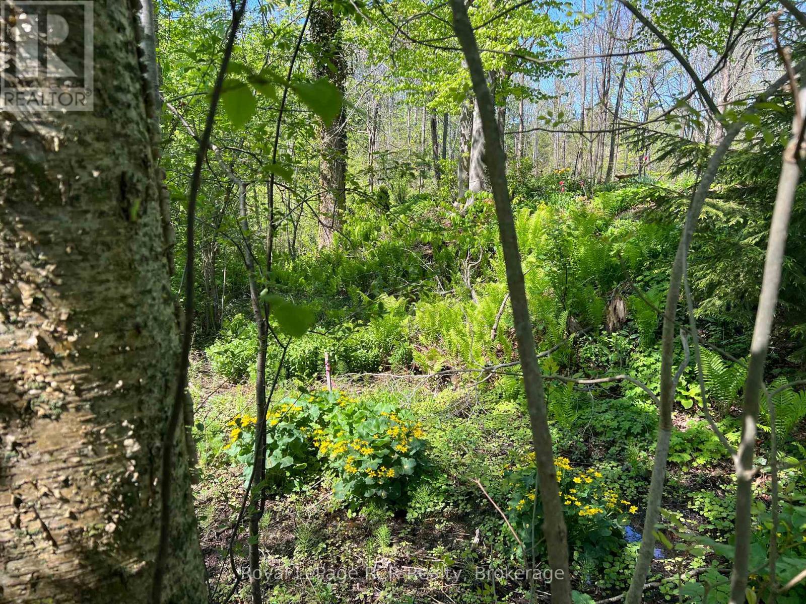 48 Gordon Crescent, Meaford, ON