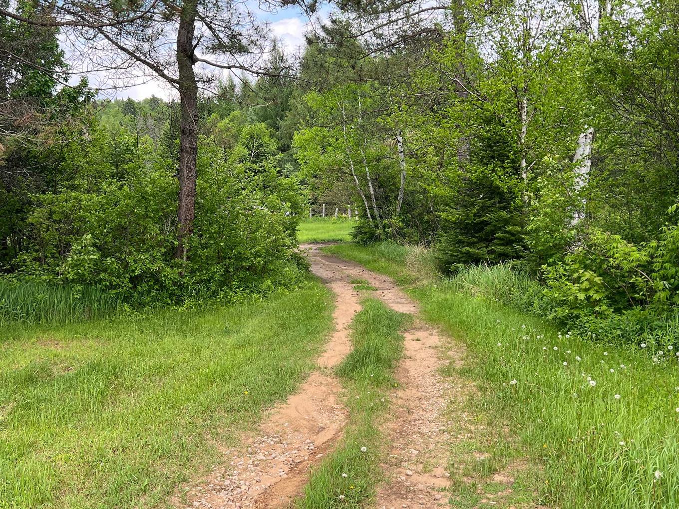 Land/Lot - 4850 Ch. Brassard, Saint-Zénon, QC - Outdoor