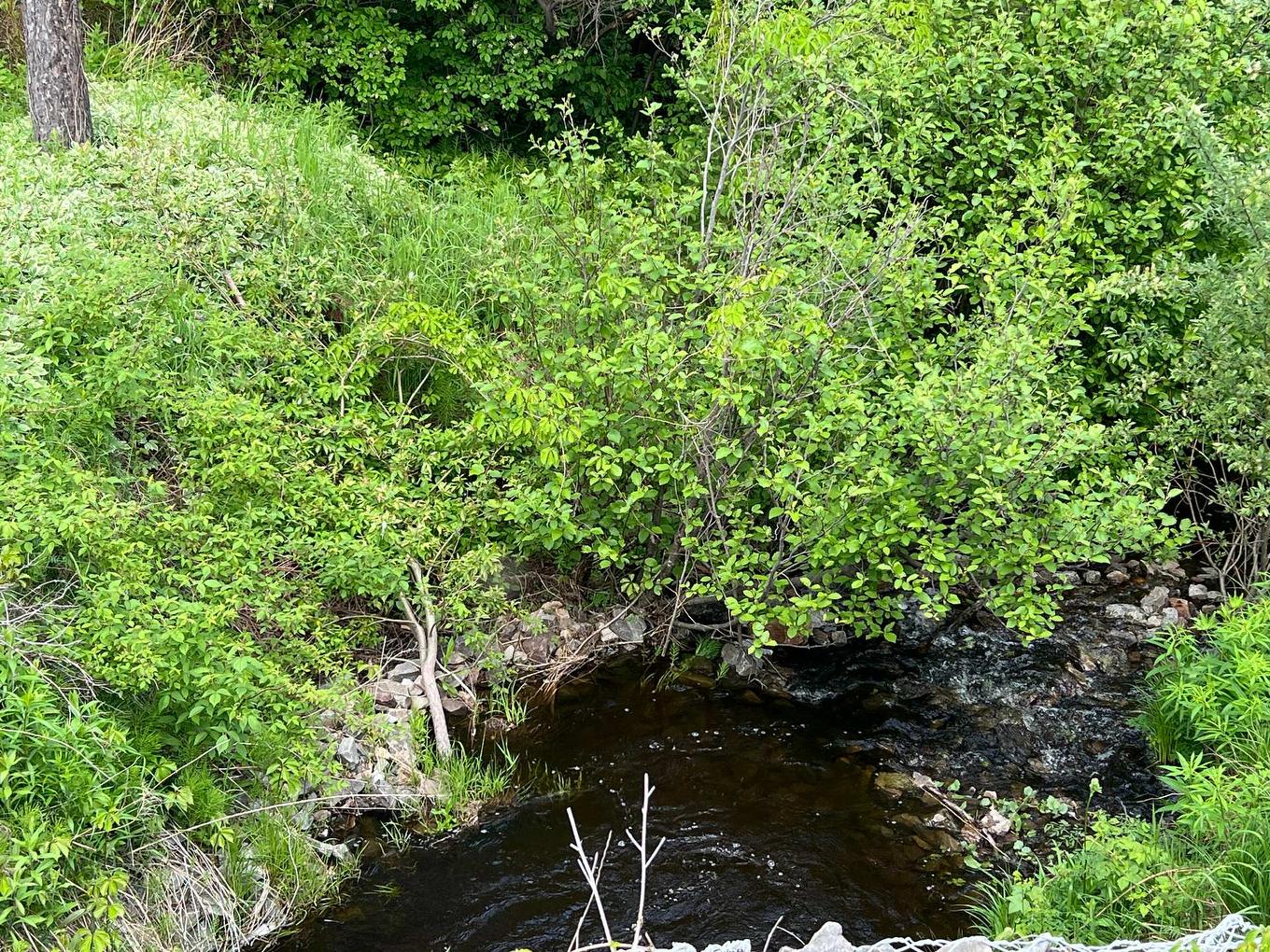 Land/Lot - 4850 Ch. Brassard, Saint-Zénon, QC - Outdoor