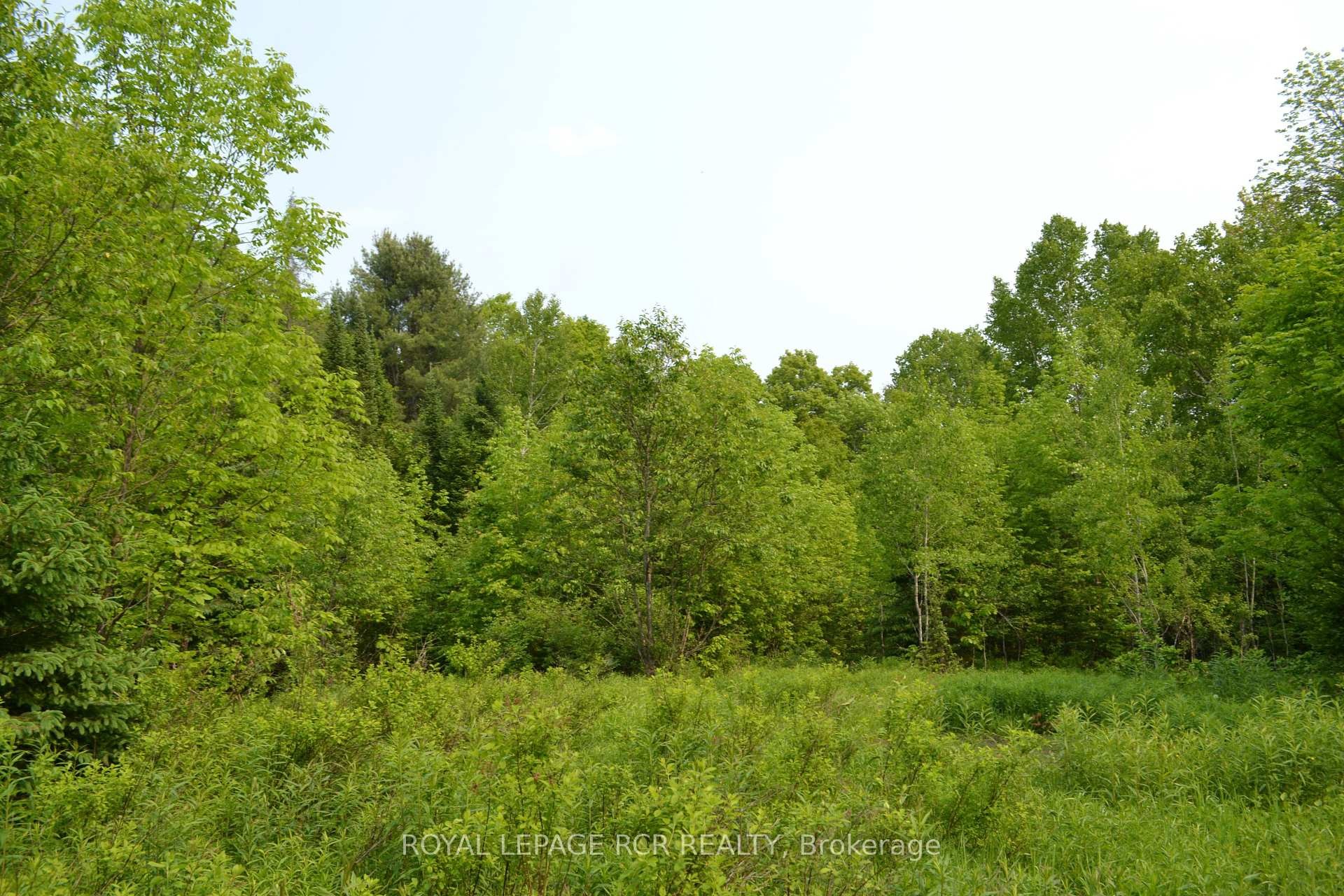 1527 Madill Road, Highlands East, ON