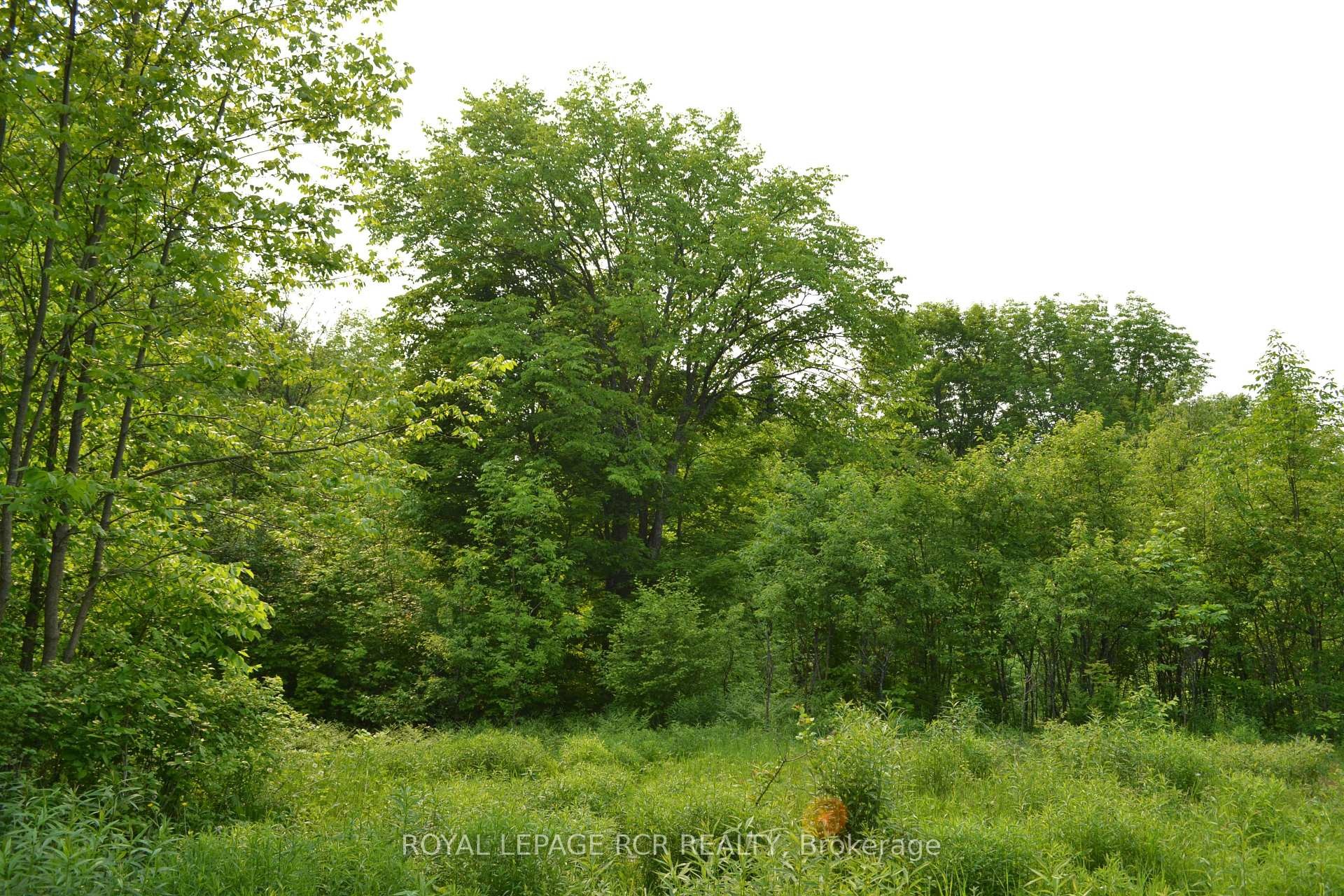 1527 Madill Road, Highlands East, ON