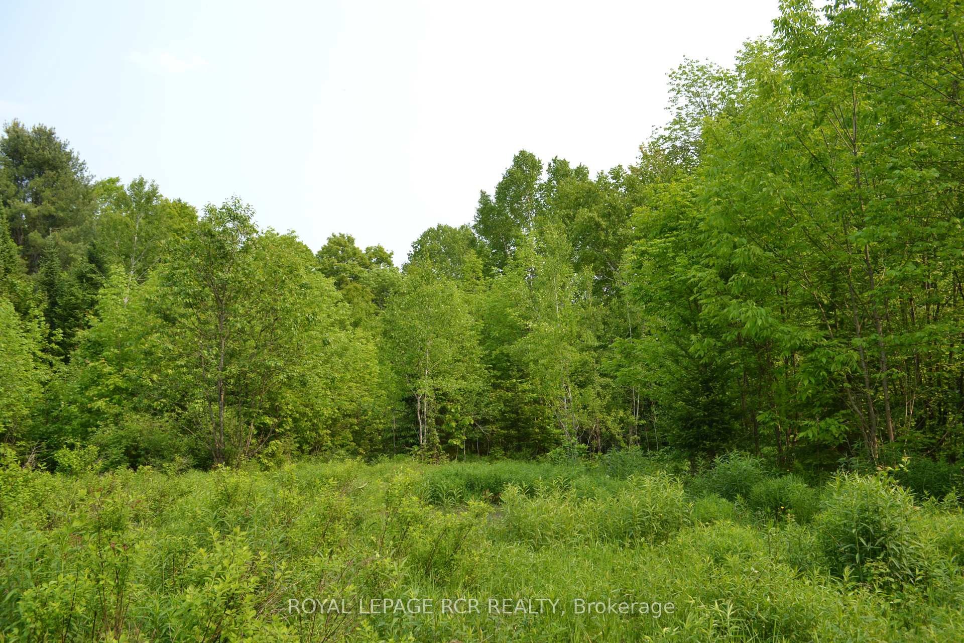 1527 Madill Road, Highlands East, ON