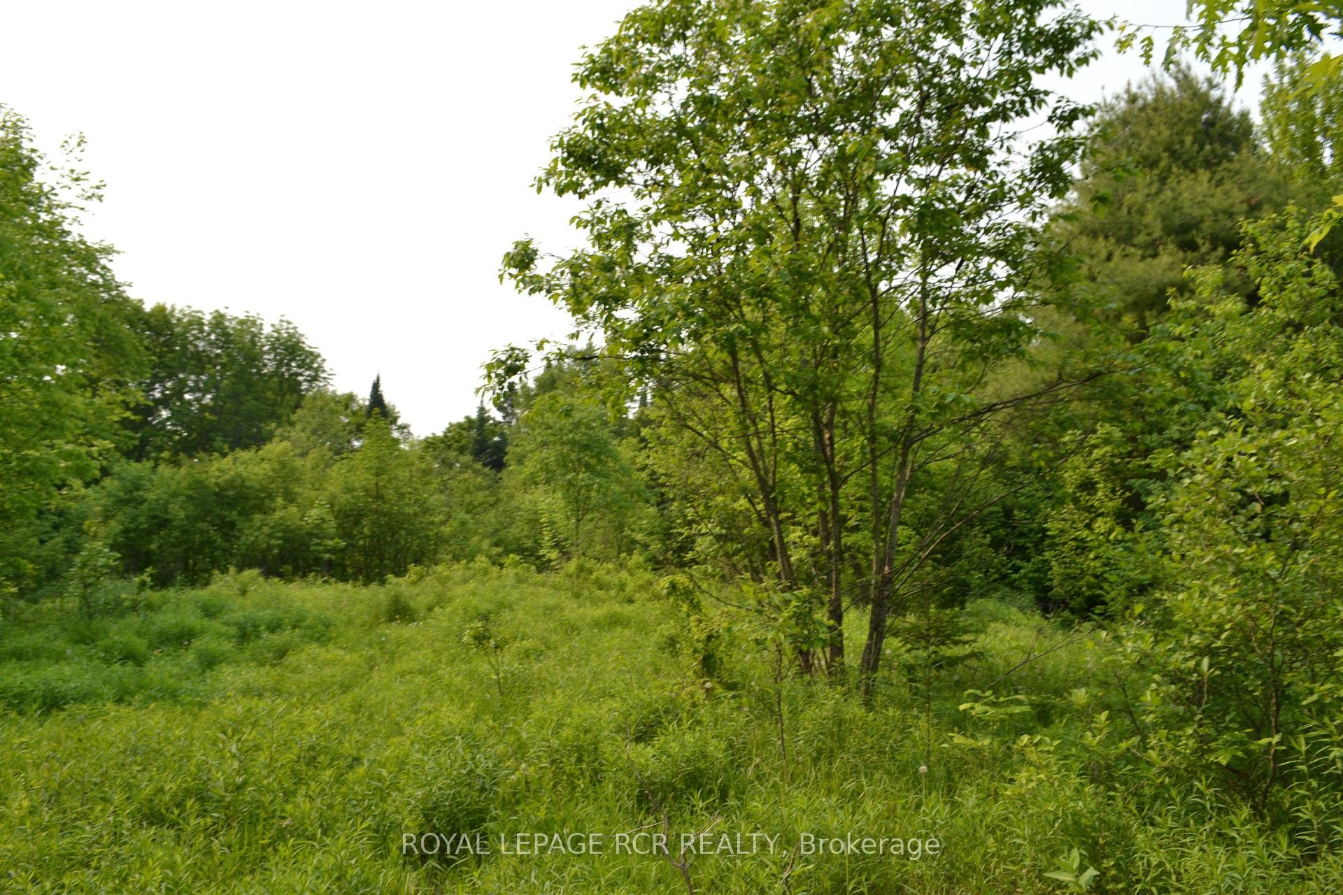 1527 Madill Road, Highlands East, ON