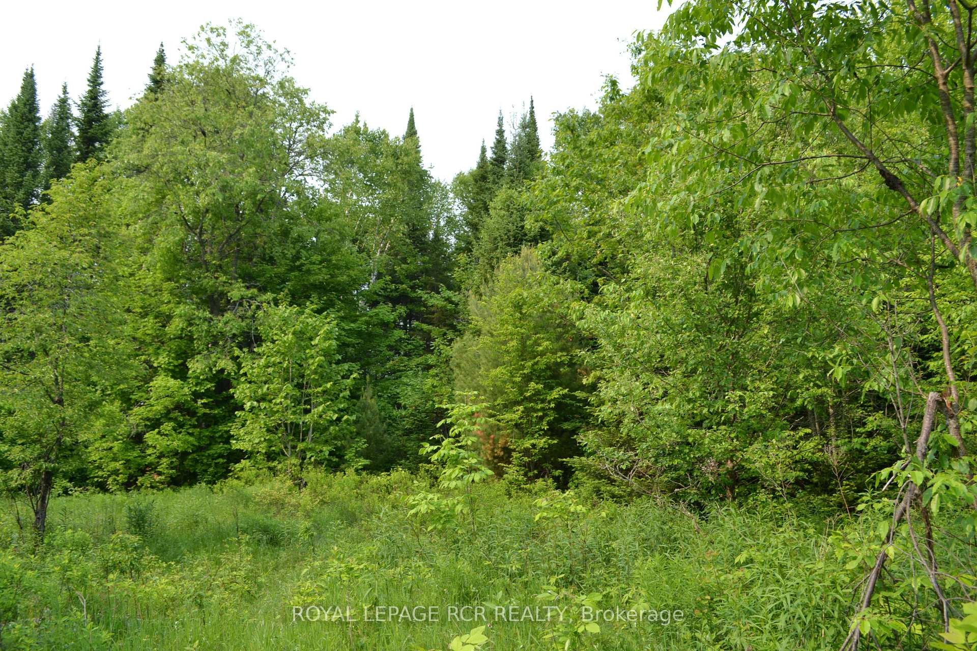 1527 Madill Road, Highlands East, ON