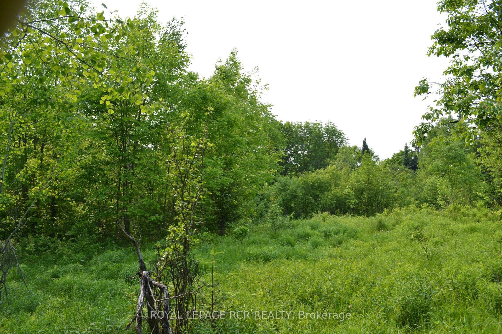 1527 Madill Road, Highlands East, ON