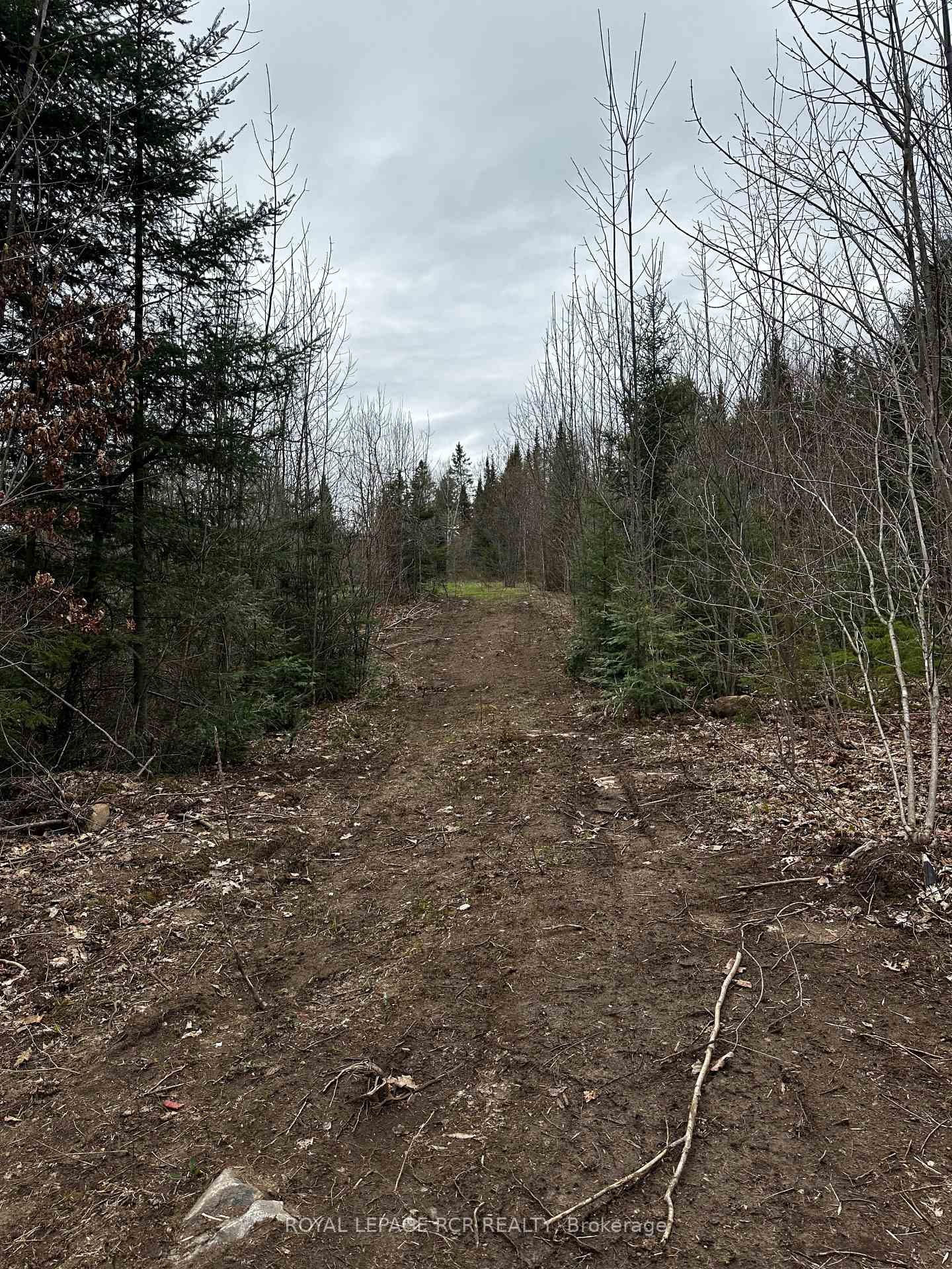 1527 Madill Road, Highlands East, ON