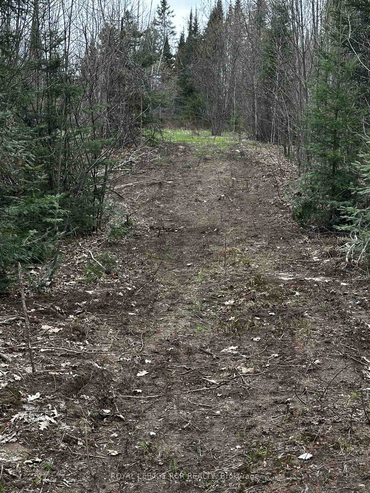 1527 Madill Road, Highlands East, ON