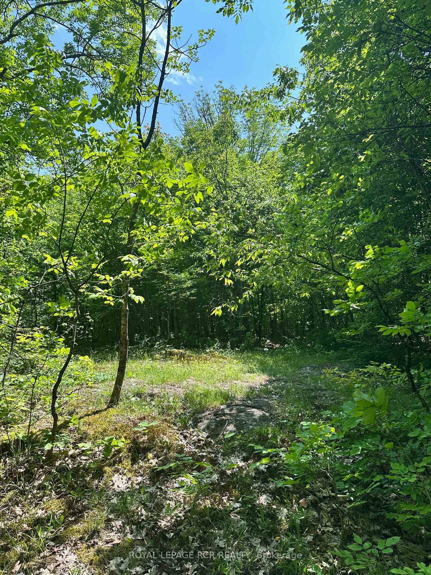 1527 Madill Road, Highlands East, ON