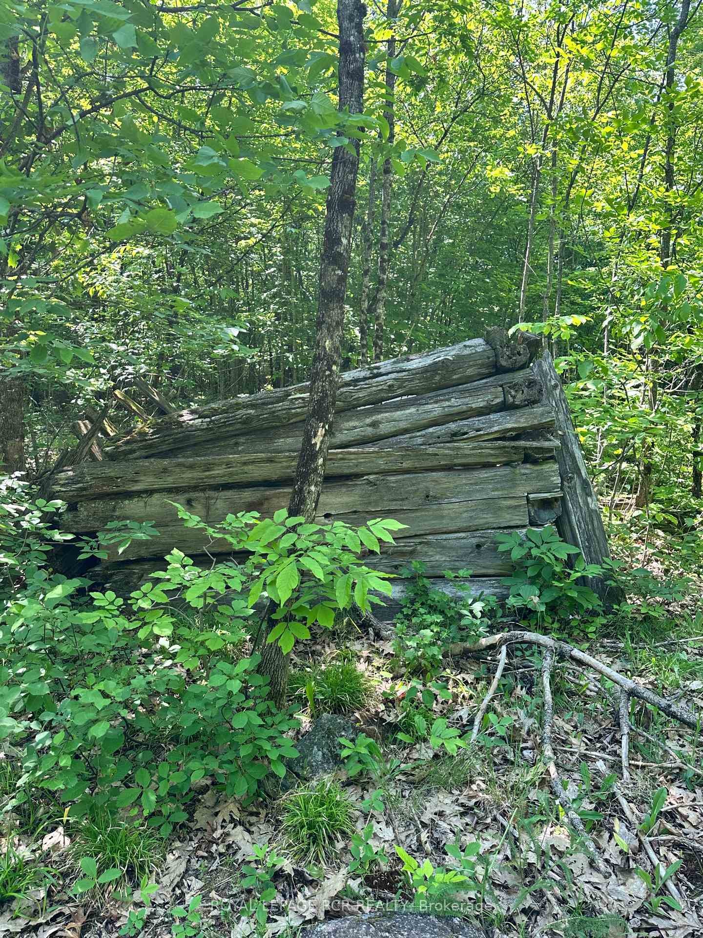 1527 Madill Road, Highlands East, ON