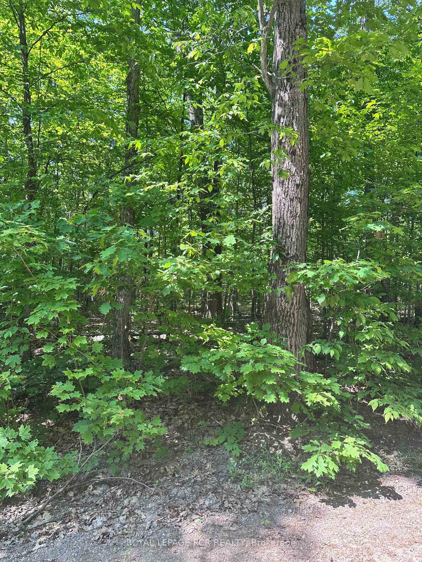 1527 Madill Road, Highlands East, ON