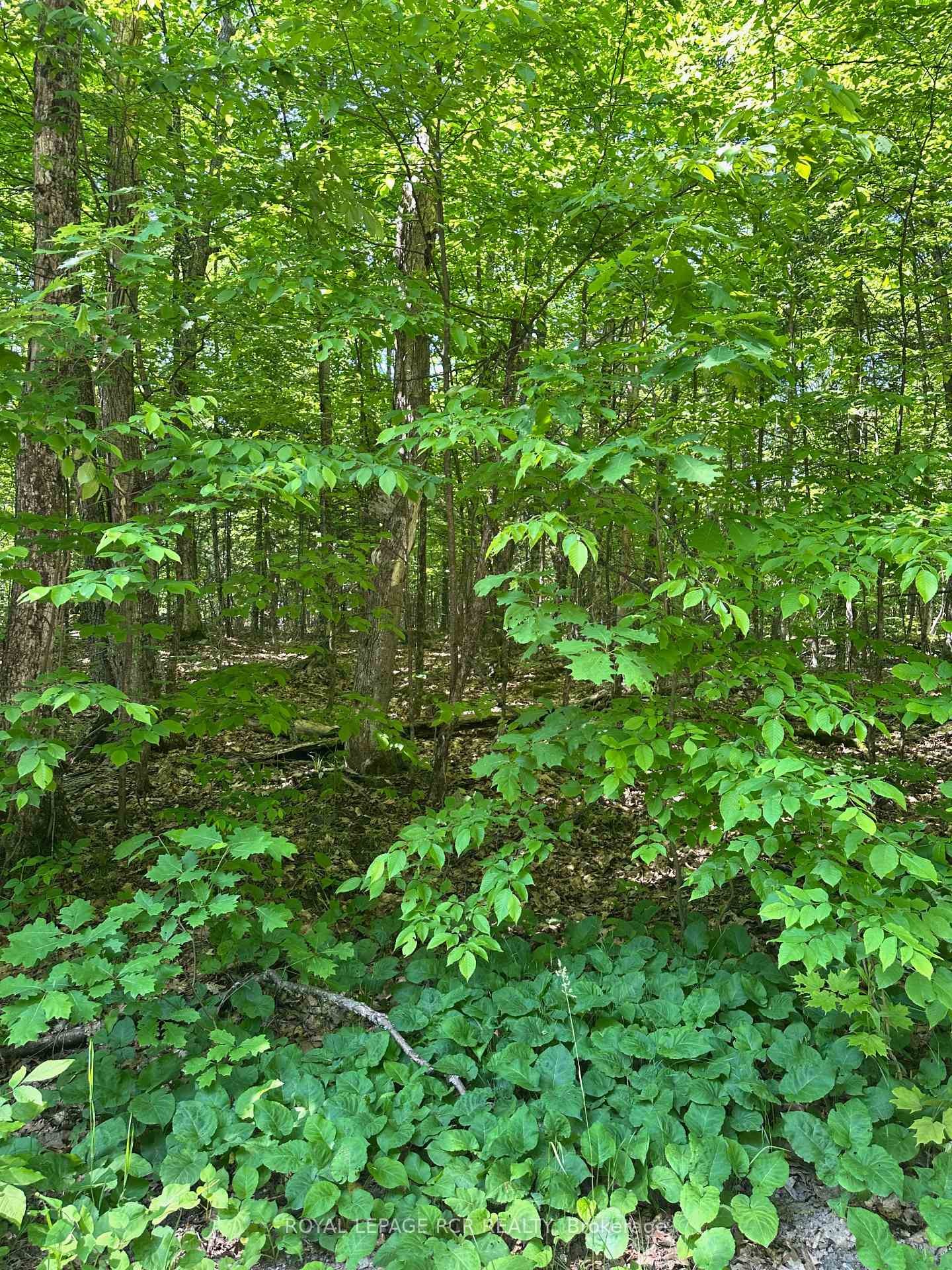 1527 Madill Road, Highlands East, ON